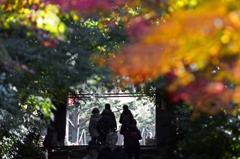高台寺への坂道　IMG8985zz