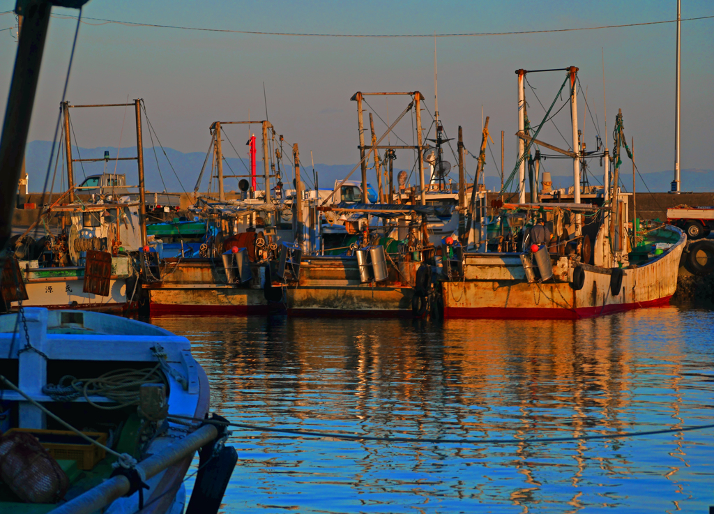 今日の漁獲は？　P1480595zz