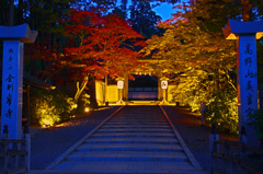 高野山金剛峰寺未明　IGP7636zz