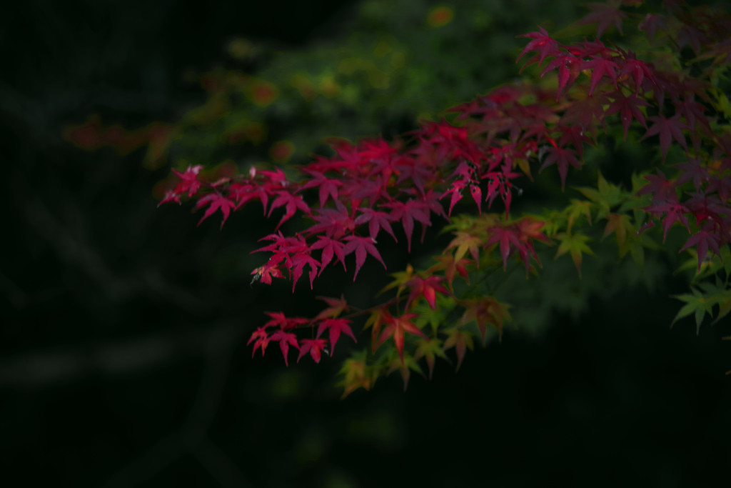  闃寂（げきせき）　IMGP9936zz