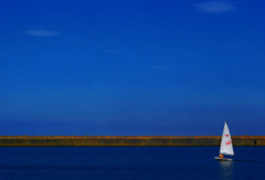 順風満帆　P1650142zz