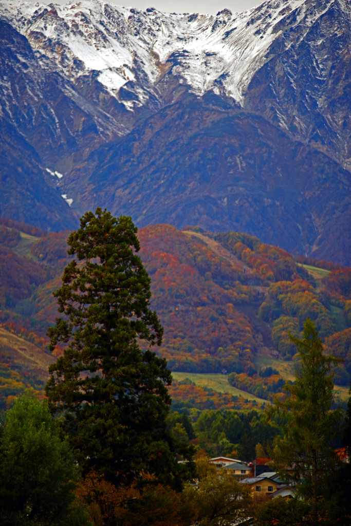 山国の秋景　IMGP9464zz