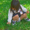 春を摘む　P1390015zz