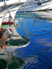 もやいづな　P1500626zz