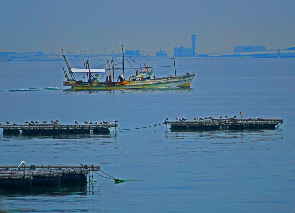 朝のお仕事　P1600818zz