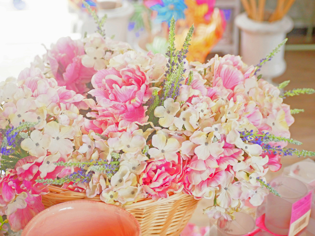 ファンタスティック　P1220425zz