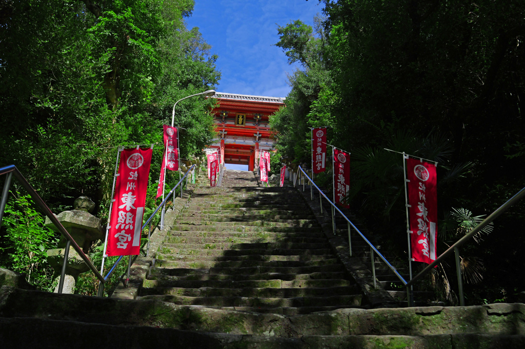 表参道　P1044057zz