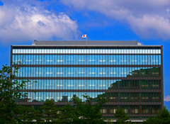 ReflectionP1580056zz