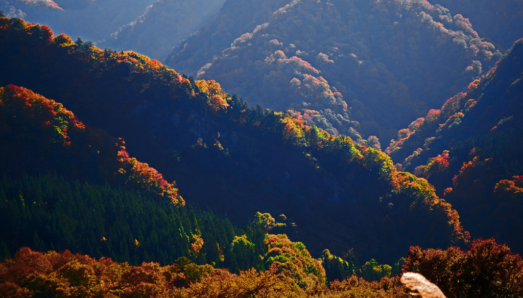 光る山の端　P1270644zz