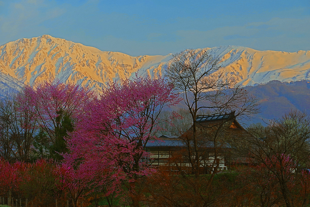 山 赤く燃ゆる　IMGP3117zz