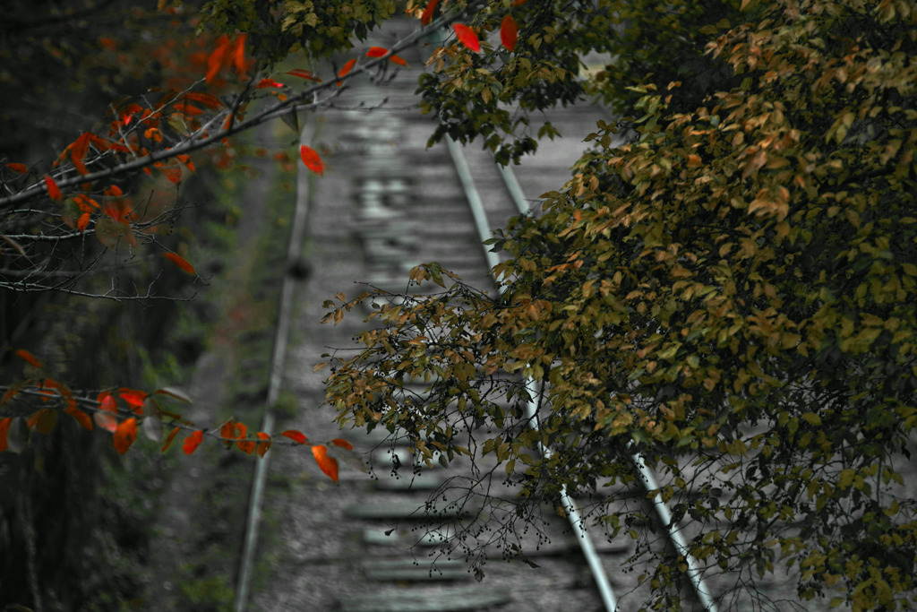 晩秋のインクライン　IMGP1332zz