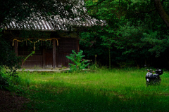 林昌寺愛宕大權現　P1044867zz