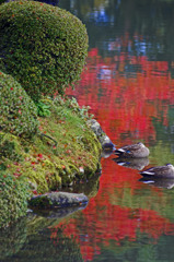 紅の池　_IGP3943zz