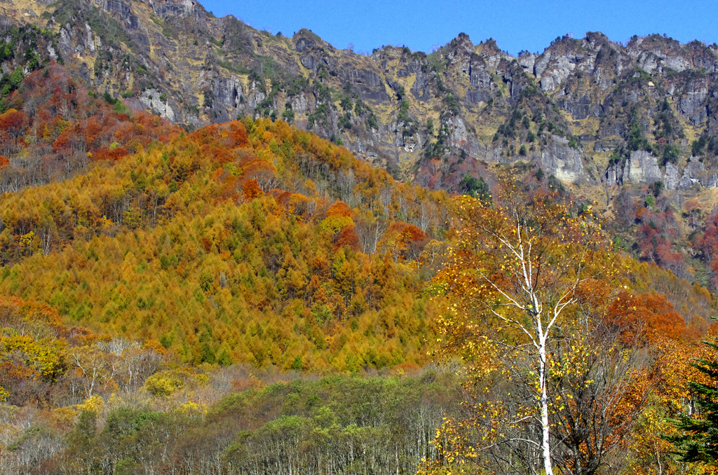 錦秋の戸隠山　_IGP8015zz