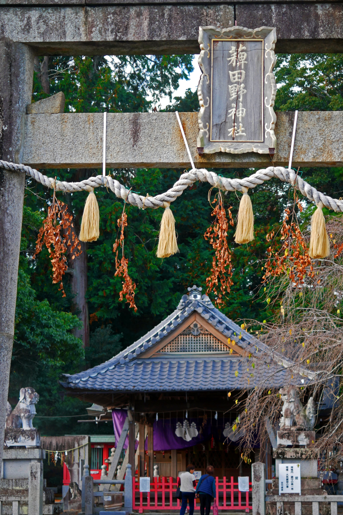 秋から冬へ　P1290035zz