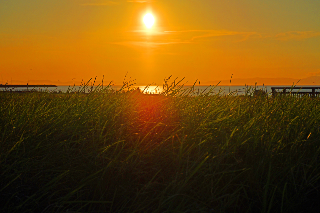 黄昏れ時　P1011305z