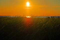 黄昏れ時　P1011305z