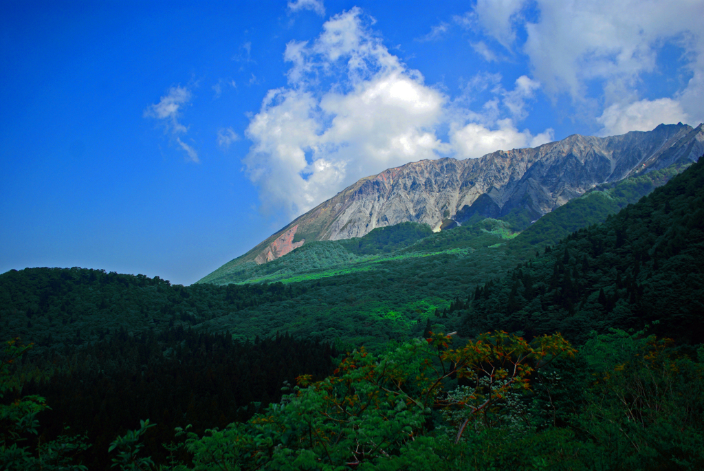 初夏の大山北壁　IMGP4399zz