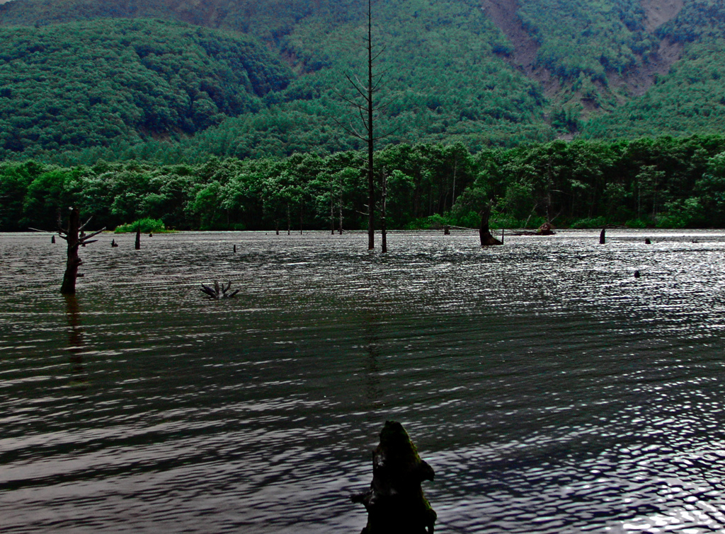 黎明の景 水面　_5690zz