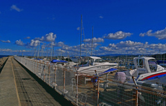 気分のいい師走の一日　P1800577zz