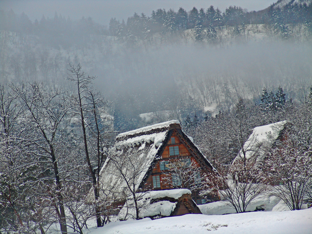 厳冬期の白川郷　DSC01776z