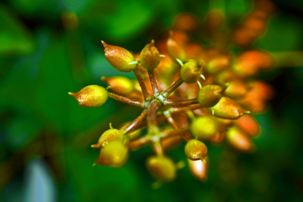 蕾ちゃん　P1240648zz