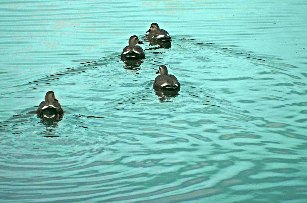 編隊進め！　IMG0382zz