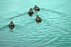 編隊進め！　IMG0382zz