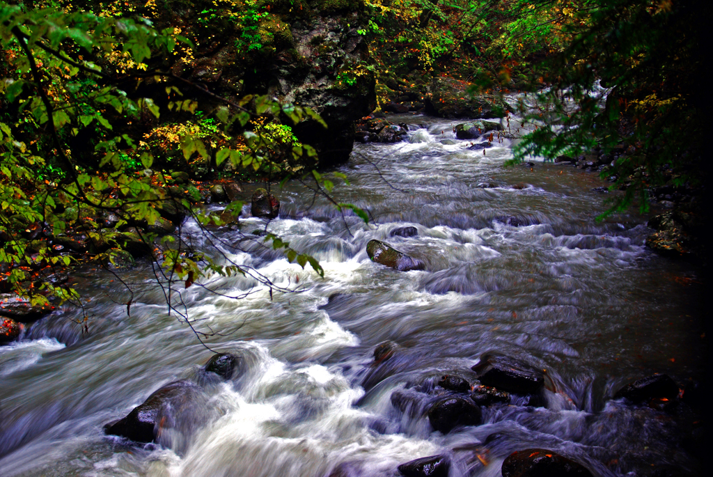 秋の早瀬　IMGP8938zz