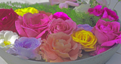 薔薇のおもてなし　IMG8437zz