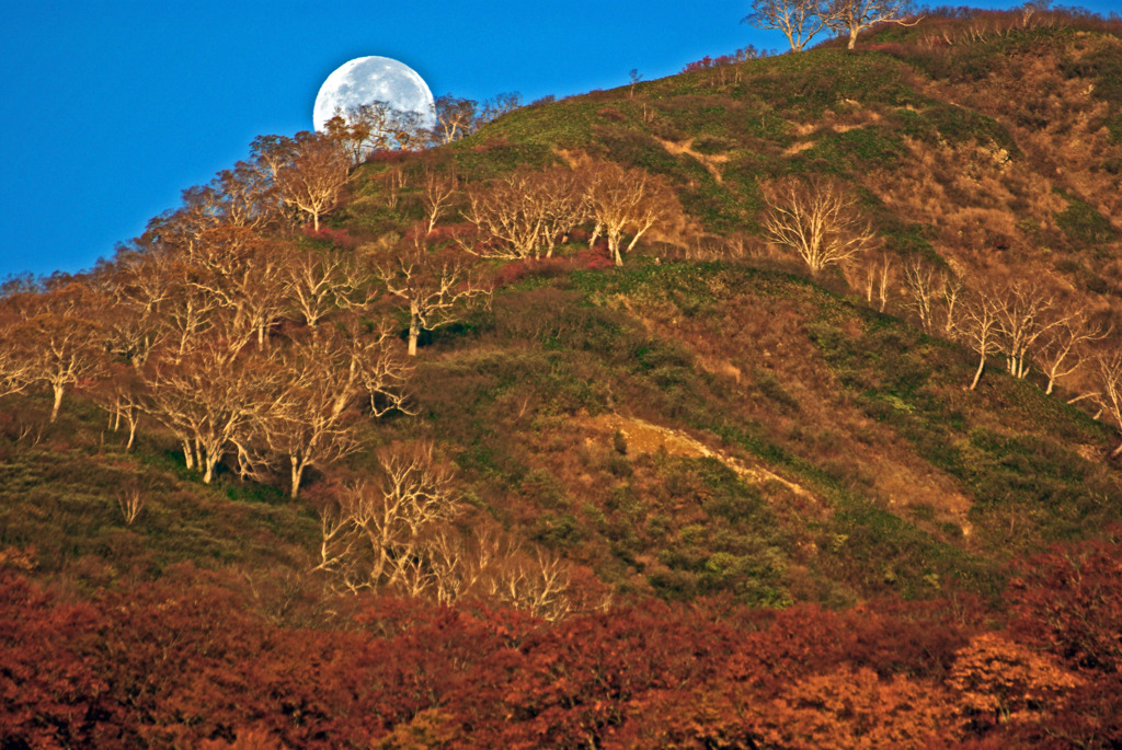 有明の月と燃える山　IMGP9093zz
