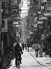 ミナミ 重なり　P1160572zz