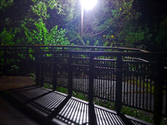 夜の公園　P1760003zz