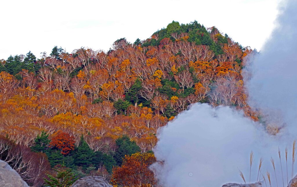 湯けむりと紅葉　IMGP7305zz