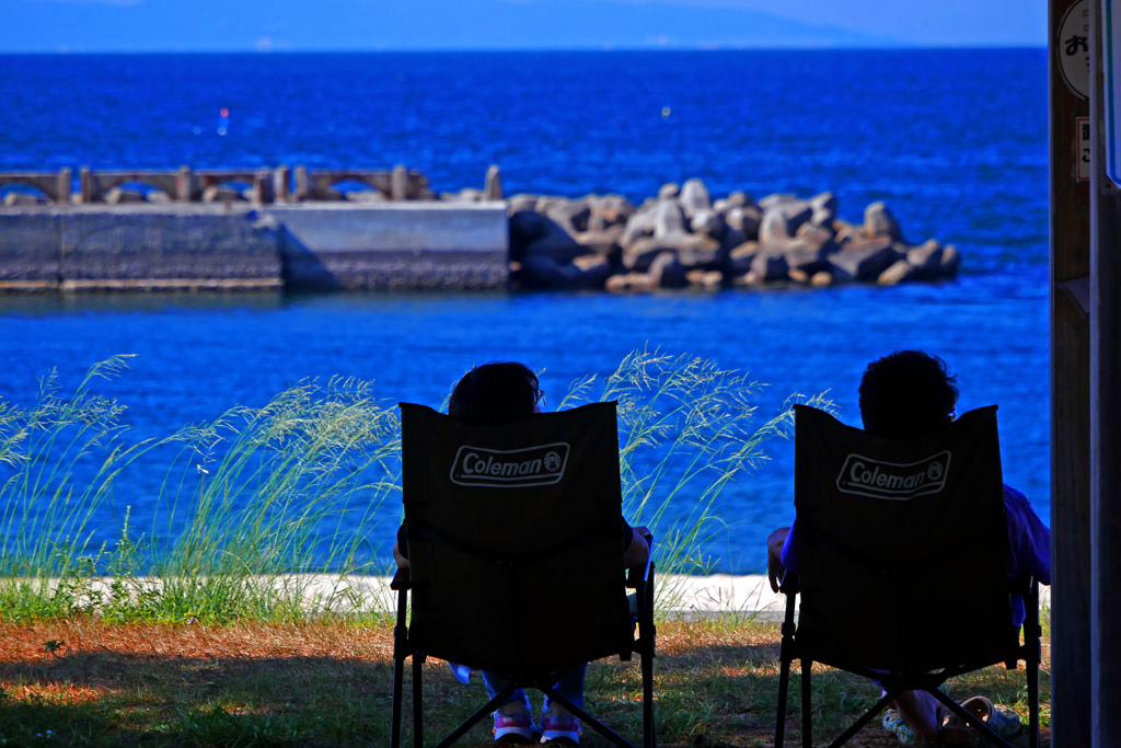 今はもう秋‥　P1250866zz