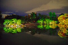 夜の栗林公園　IMGP8335zz