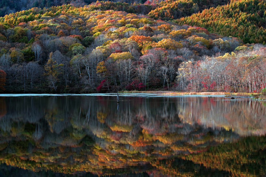 二つの秋　IMGP9617z