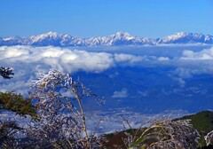 昨日の雪　IMGP9235zz