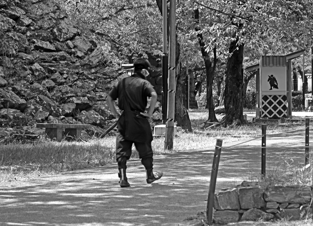 忍者が行く　P1042911zz