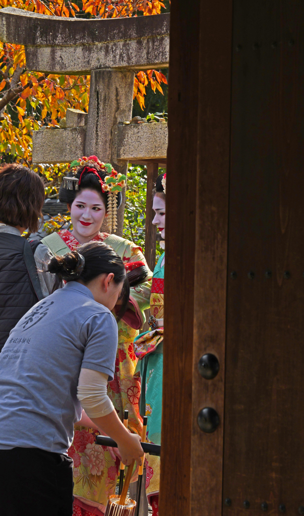 リアルな現実　P1125903zz