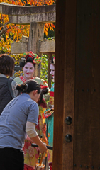 リアルな現実　P1125903zz