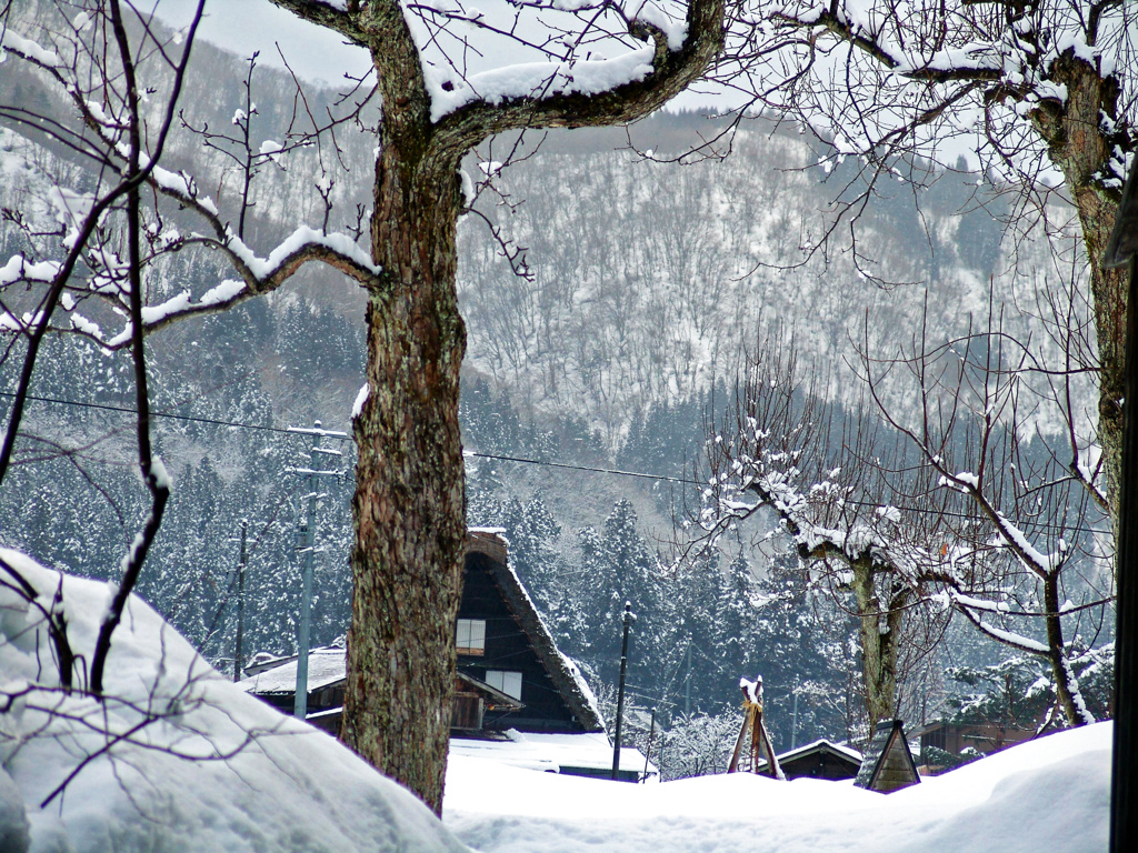 厳冬期の白川郷　DSC01754zz
