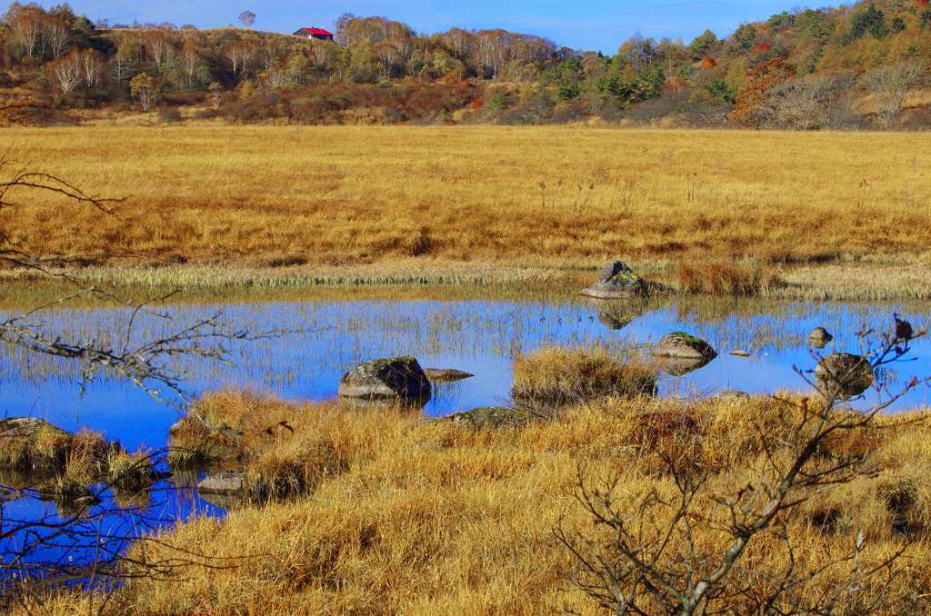 晩秋の池塘　IMG1965zz