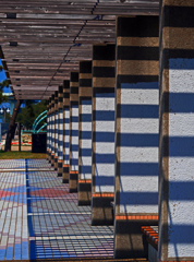 Blue Shadow　P1140027zz