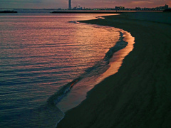 払暁の海　P1700076zz
