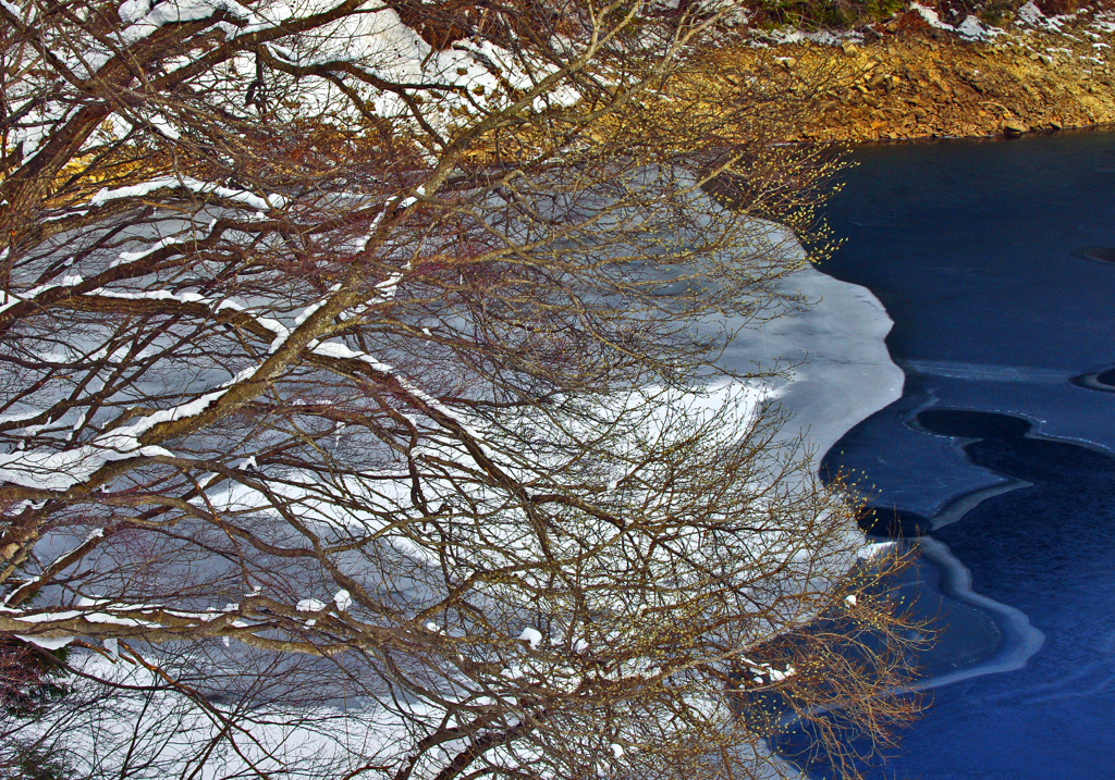 【追憶】 湖畔の冬　IGP6738zz