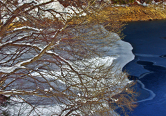 【追憶】 湖畔の冬　IGP6738zz