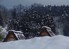 追憶 厳冬の旅Ⅳ　DSC01790zz
