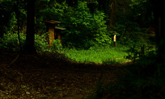 森の案内板　IMG9442zz