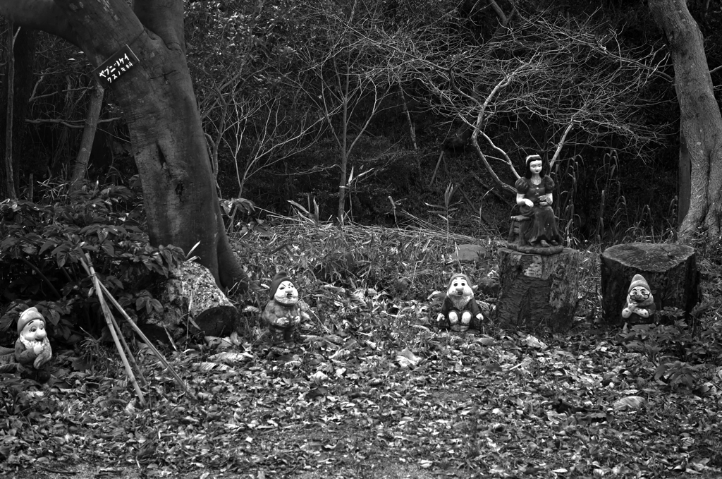 シュールな風景　P1320530zz